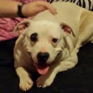 Meet your Posher, Stacy